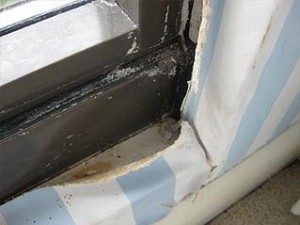 Interior Finish Damage
