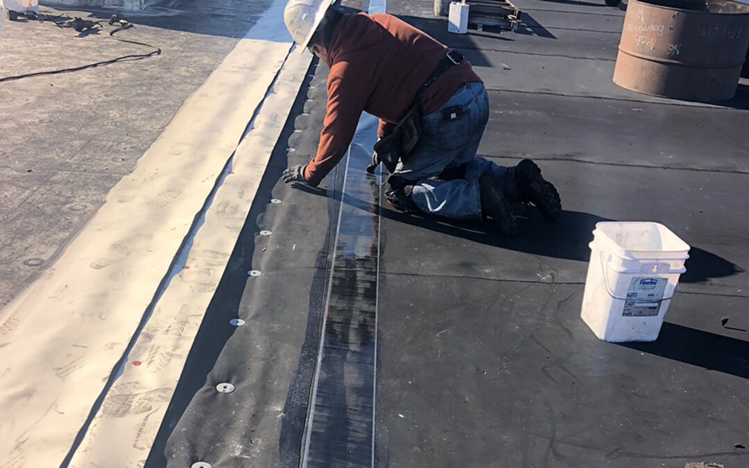 Industrial Plant Roofing Observation Services
