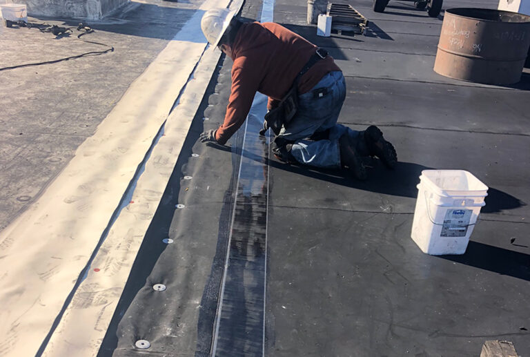 Industrial Plant Roofing Observation Services – Roofing and Waterproofing – Industrial